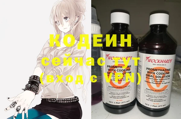 эйфоретик Богданович