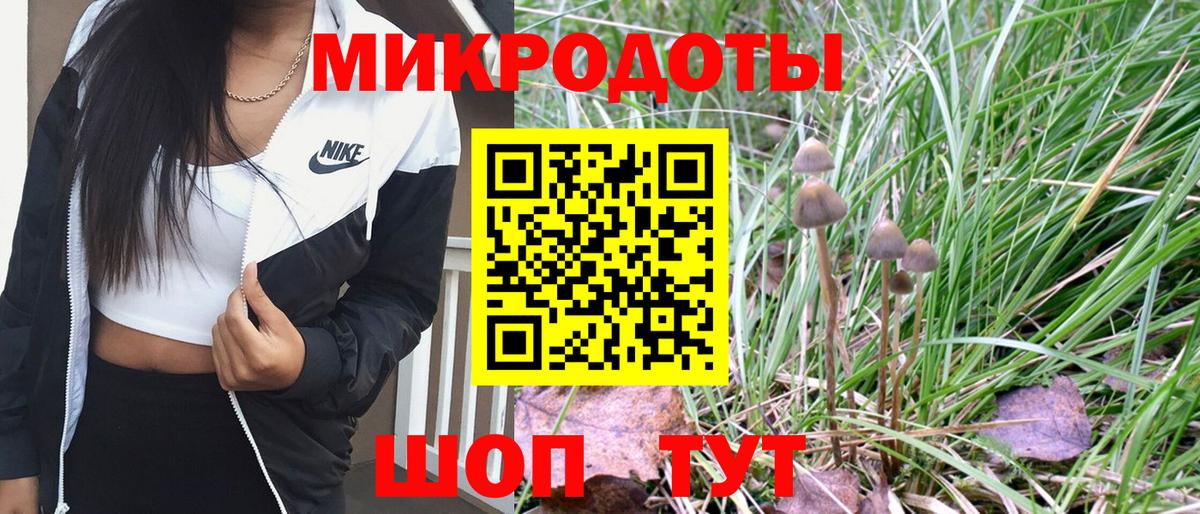 A-PVP Городец