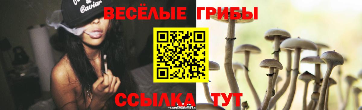 Галлюциногенные грибы Psilocybine cubensis  Галлюциногенные грибы GOLDEN TEACHER  Вход с VPN  Городец 